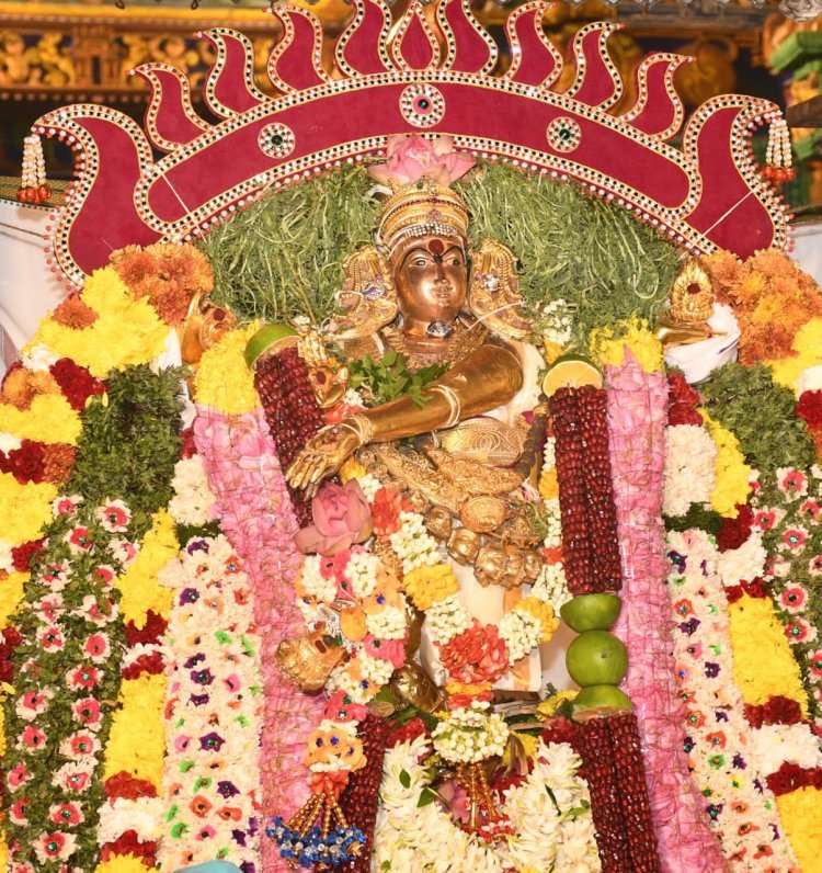 Aarudhra Darisanam Festival Celebrated Grandly at Perur Temple