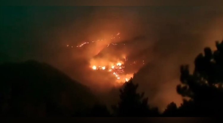 Wildfires in Chile Claim 18 Lives; Emergency Declared