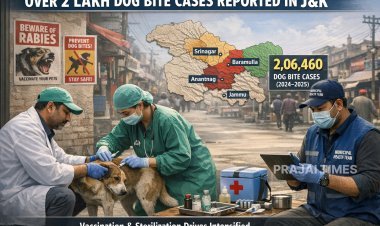 Over 2 Lakh Dog Bite Cases Reported in Jammu & Kashmir in Two Years