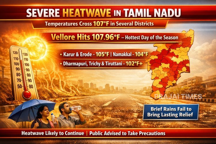 Tamil Nadu Heatwave Intensifies: Vellore Records 107.96°F, Highest This Season