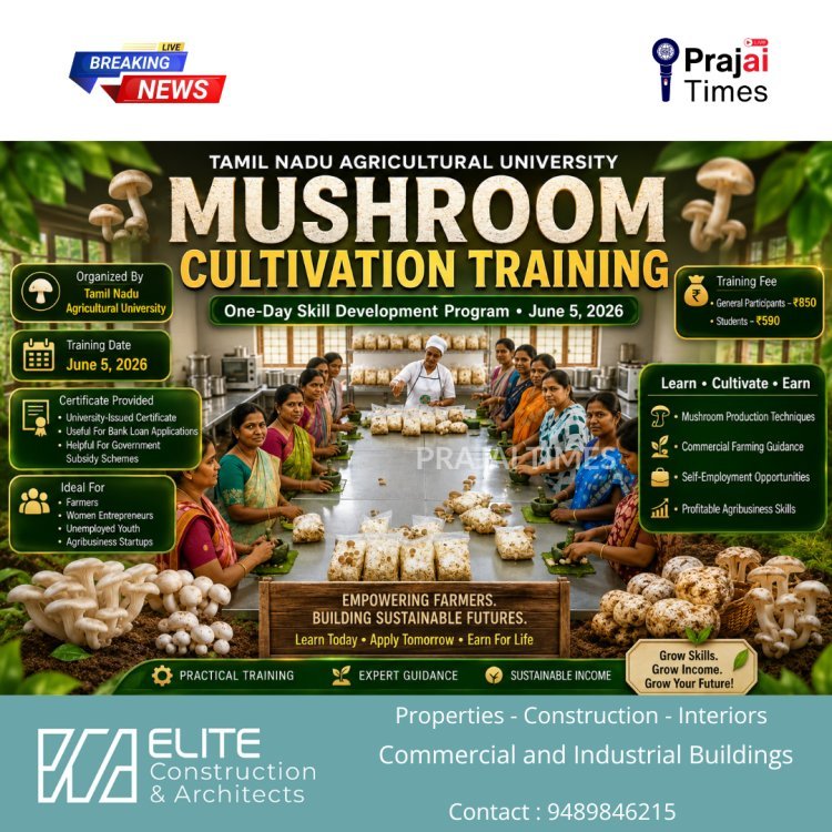 TNAU to Conduct One-Day Mushroom Cultivation Training on June 5, 2026