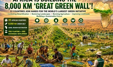 22 African Nations Unite to Build the 8,000 km Great Green Wall